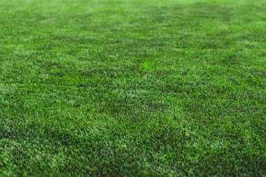 Suni bir çimenlikte sokak futbolu, sahada futbol, arka planda bir takım.