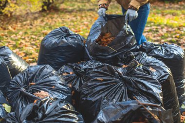 Parktaki düşen sonbahar yapraklarının toplanması, sarı yaprakların toplanması ve temizlenmesi, traktör, bahçe aletleri ve modern ekipmanlarla düzenli mevsimsel çalışmalar