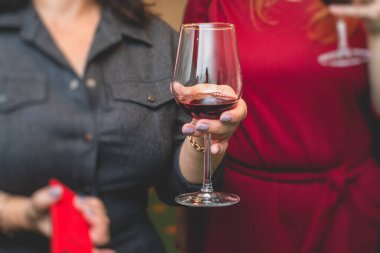 Vineard 'da şarap partisi denemeleri, arkadaşların şaraphanede şarap içmesi.