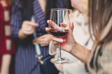 Vineard 'da şarap partisi denemeleri, arkadaşların şaraphanede şarap içmesi.