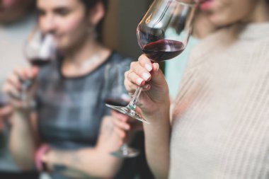 Vineard 'da şarap partisi denemeleri, arkadaşların şaraphanede şarap içmesi.