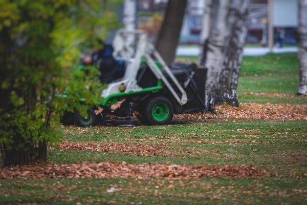 Removendo Folhas Outono Caídas Parque Processo Raking Limpeza Área Folhas — Fotografia de Stock