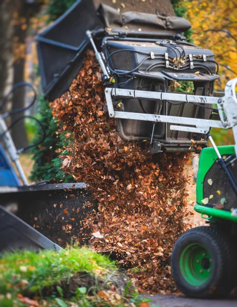 Removing Fallen Autumn Leaves Park Process Raking Cleaning Area Yellow — Stock Photo, Image