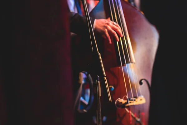 Konzertbild Eines Kontrabass Violoncello Spielers Mit Sänger Und Musikkapelle Während — Stockfoto