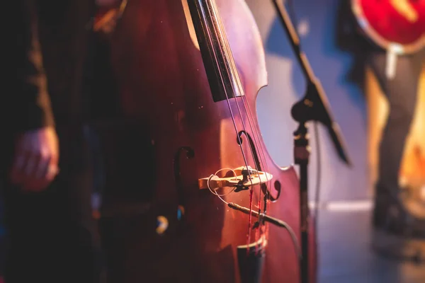 Konzertbild Eines Kontrabass Violoncello Spielers Mit Sänger Und Musikkapelle Während — Stockfoto