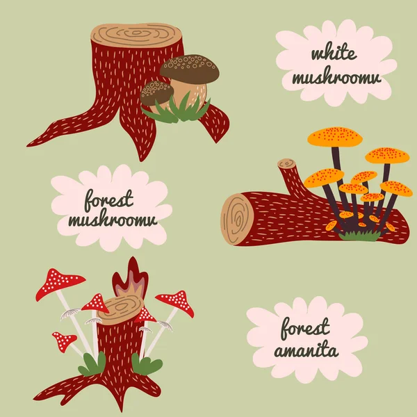 Ілюстрація з лісовими пнями, грибами і травою . — стоковий вектор