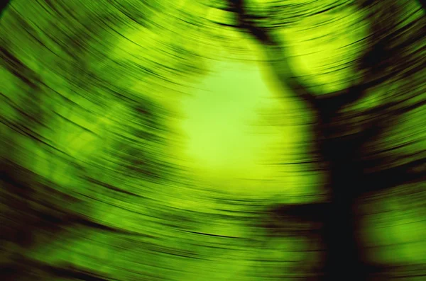 Yeşil girdap — Stok fotoğraf