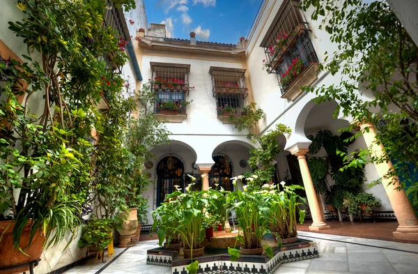 Ingresso Una Casa Nel Quartiere Juderia Cordova Andalusia Spagna — Foto Stock