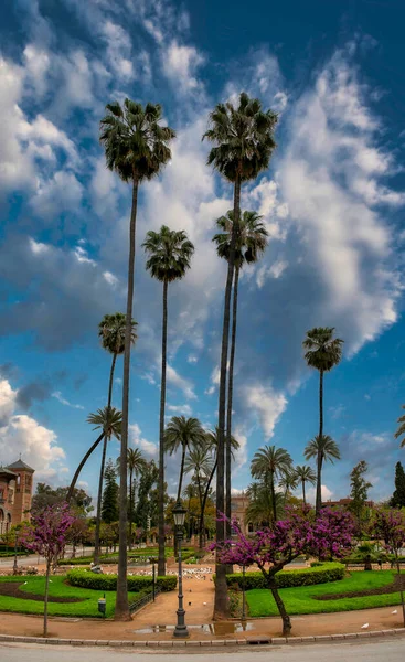 Plaza America City Seville Andalusia Spain — Stok fotoğraf