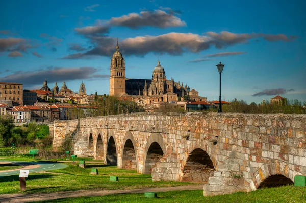 City Salamanca Autonomous Community Castilla Leon Spain — Zdjęcie stockowe