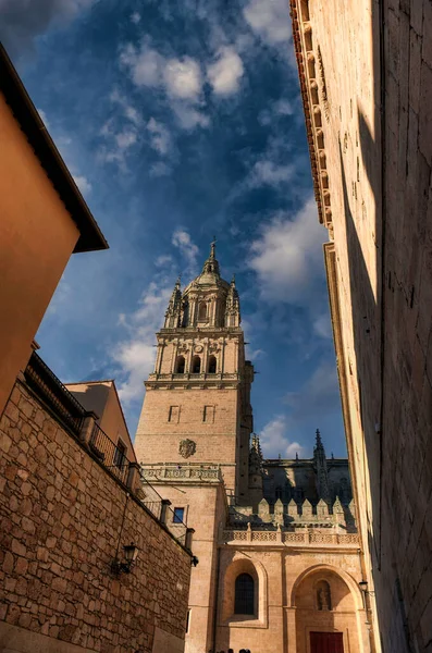 City Salamanca Autonomous Community Castilla Leon Spain — Fotografia de Stock