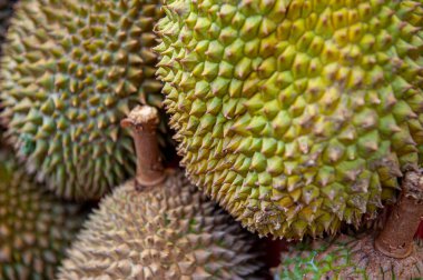 Jack Fruit Singapur 'da pazarda..