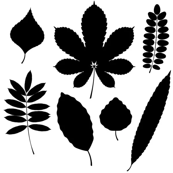 Vector Collection of Leaf Silhouettes isolated on white background Stock Vector