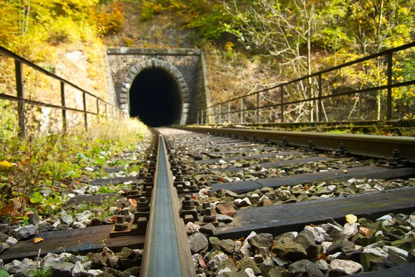 Železniční tunel — Stock fotografie