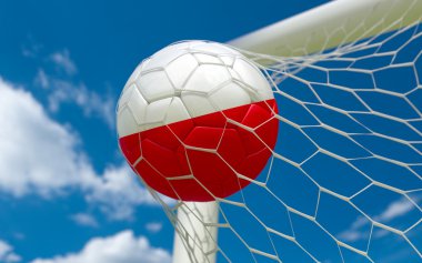 Polonya bayrağı ve futbol topu kalede net