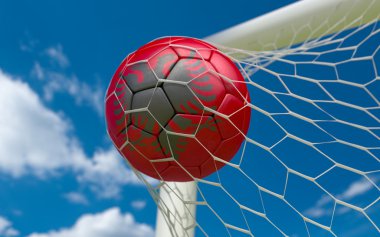 Arnavutluk ve futbol topu kalede net bayrağı