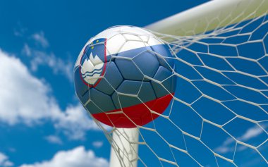 Slovenya ve futbol topu kalede net bayrağı