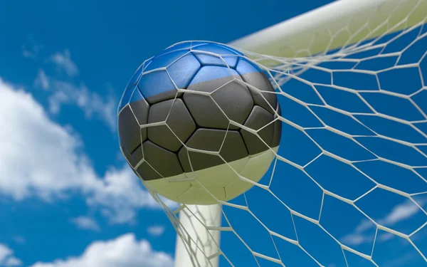 Estonya ve futbol topu kalede net bayrağı