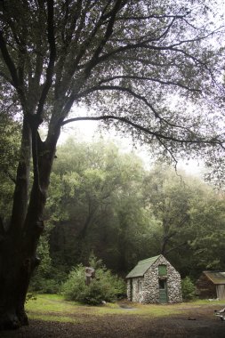 ormanda küçük taş kabin