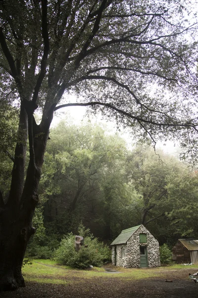 ormanda küçük taş kabin