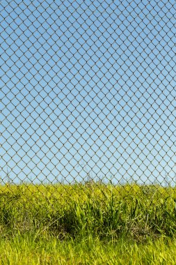 zincir bağlantı çit, uzun otların