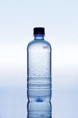 Bir şişe su.