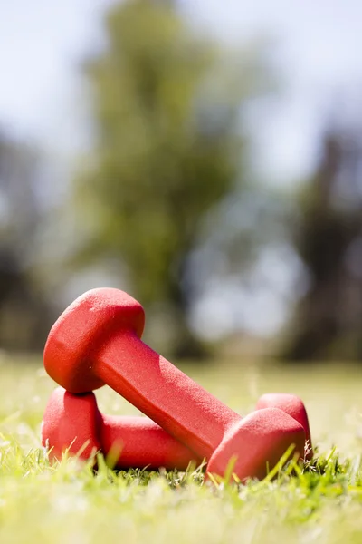 Hand weights — Stock Photo, Image