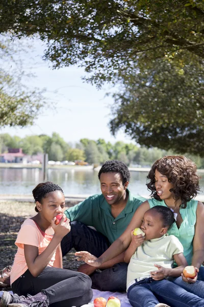 Family having a picnic — Stock Photo, Image