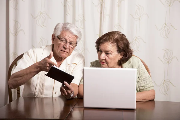 Çek defteri ve laptop ile yaşlı çift