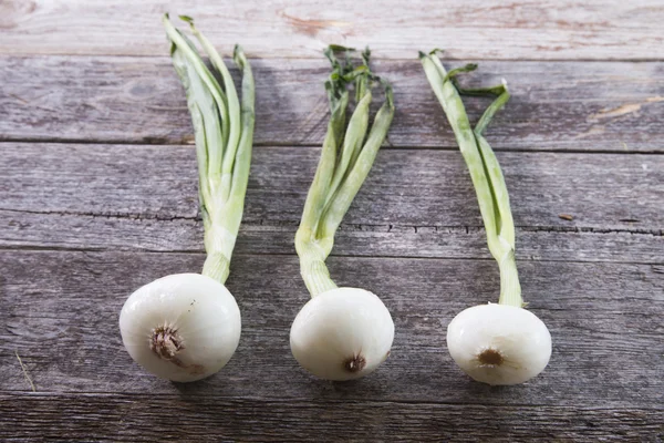 Three onions — Stock Photo, Image