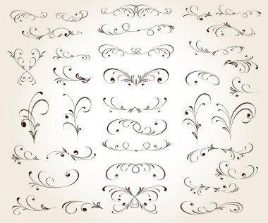 Çiçeksel vintage vektör tasarım elementleri. Kompozisyonun kaligrafik kıvrımları..