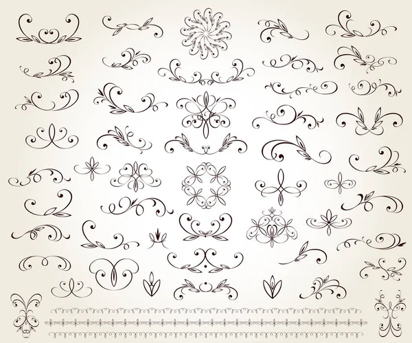 Conjunto Elementos Decorativos Florales Para Diseño Aislado Editable Viñetas Ornamentado Vector De Stock