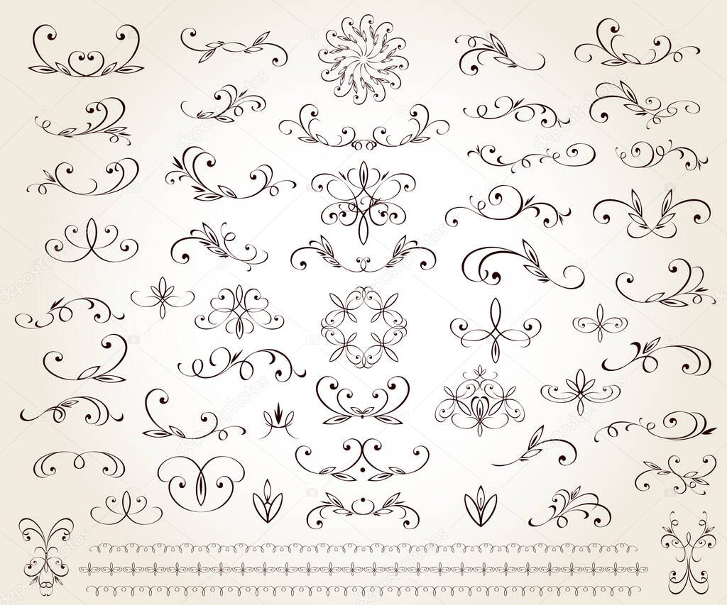 Set of floral decorative elements for design isolated, editable. Vignettes, ornate, borders,dividers.