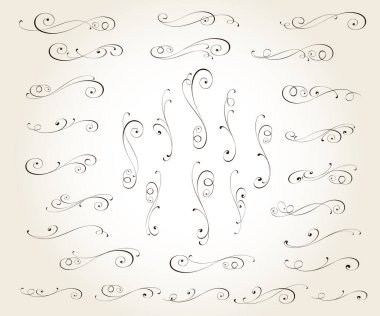 Çiçeksel vintage vektör tasarım elementleri. Kompozisyonun kaligrafik kıvrımları..