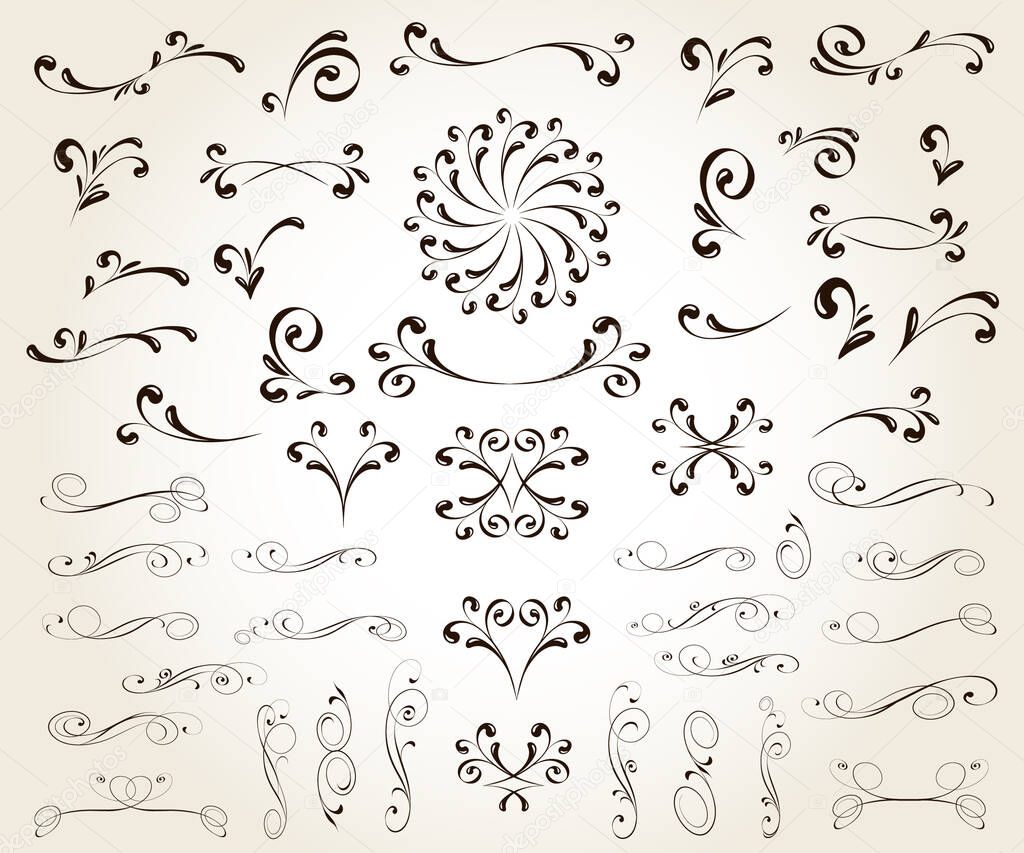 Set of floral decorative elements for design isolated, editable. 