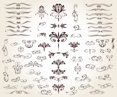 Set of floral decorative elements for design isolated, editable. From the largest and best collection of decorative elements .