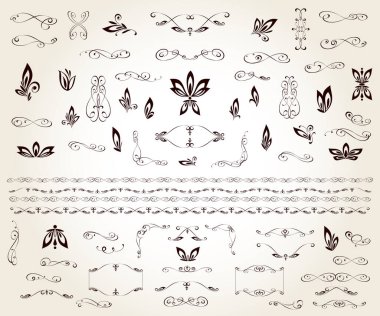 Set of floral decorative elements for design isolated, editable. From the largest and best collection of decorative elements .