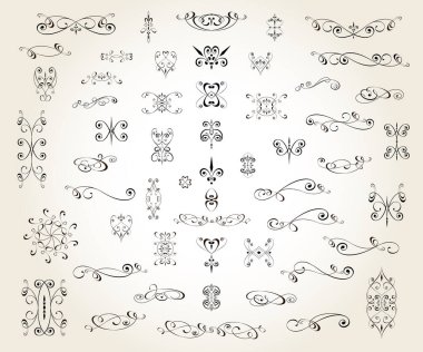 Set of floral decorative elements for design isolated, editable. From the largest and best collection of decorative elements .