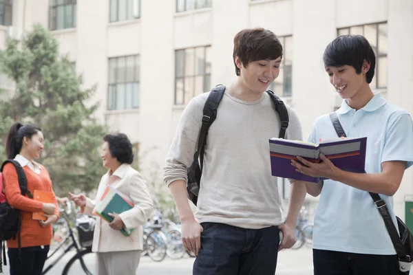 Les étudiants parlent — Photo