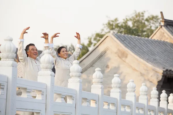 Dva senioři cvičení taijiquan v Pekingu — Stock fotografie