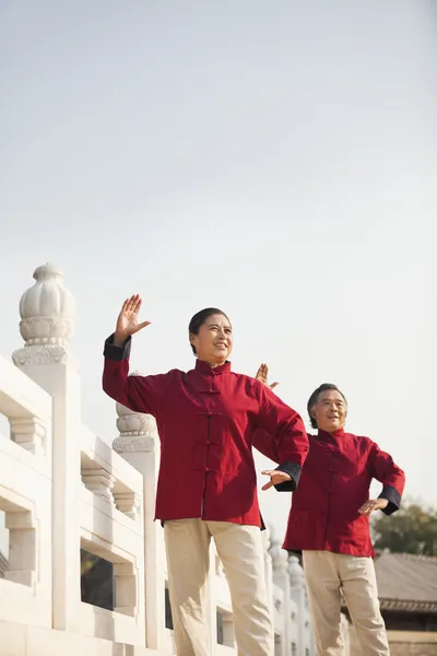 Dva senioři cvičení taijiquan v Pekingu — Stock fotografie