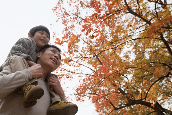 Padre e hijo sonriendo en el parque en otoño —  Fotos de Stock