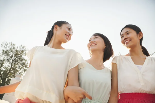 橋を渡って歩いて 3 人の友人 — ストック写真