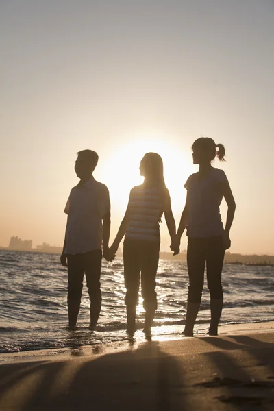 Семья, держащаяся за руки на пляже — стоковое фото