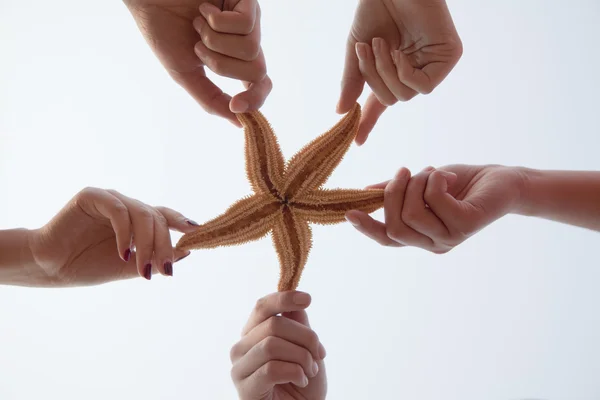 Gruppo di amici in possesso di una stella marina — Foto Stock