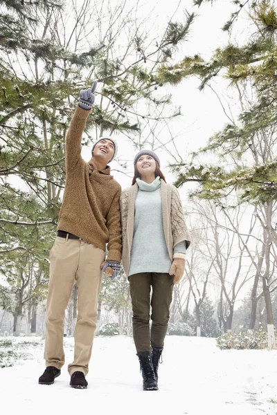Пара гуляє в парку взимку — стокове фото