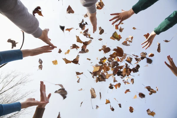 Group of young people throwing leaves — Stock Photo, Image