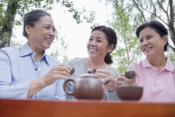 Rijpe vrouwen chinese thee drinken in het park — Stockfoto