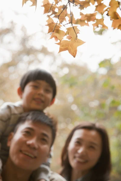 Family at the park in the autumn — Stock Photo, Image