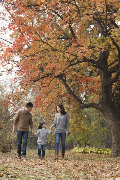 Familjen på park i höst — Stockfoto